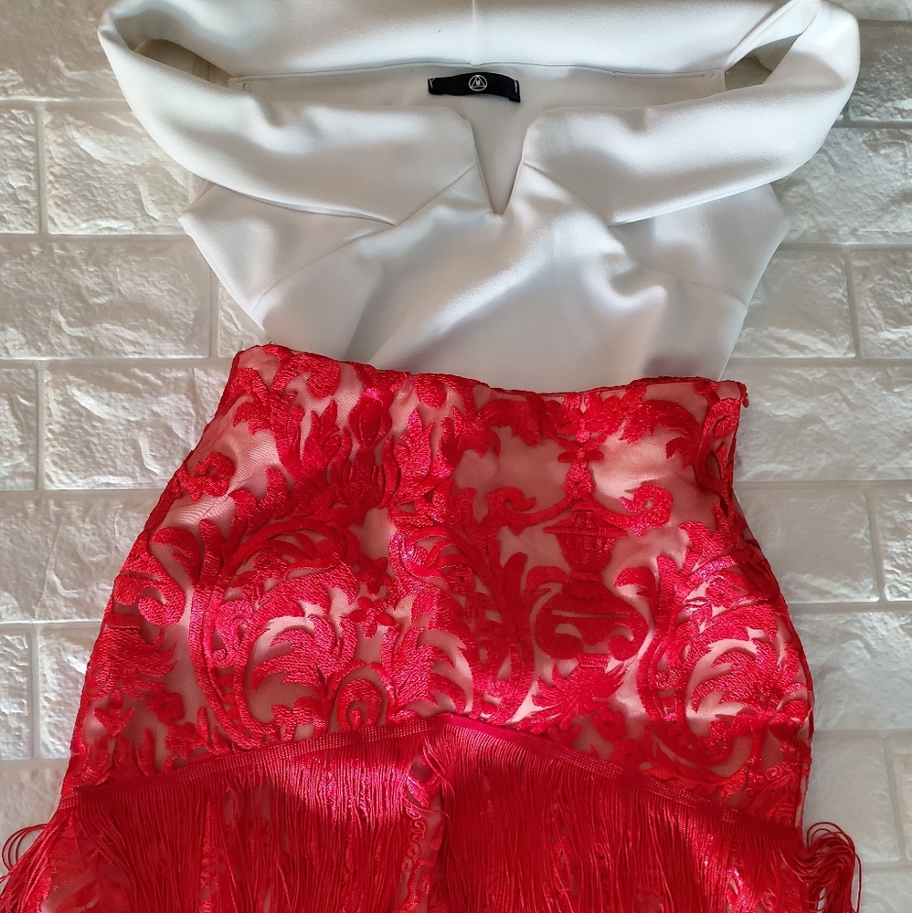 Fringe Skirt and Bodysuit Outfit